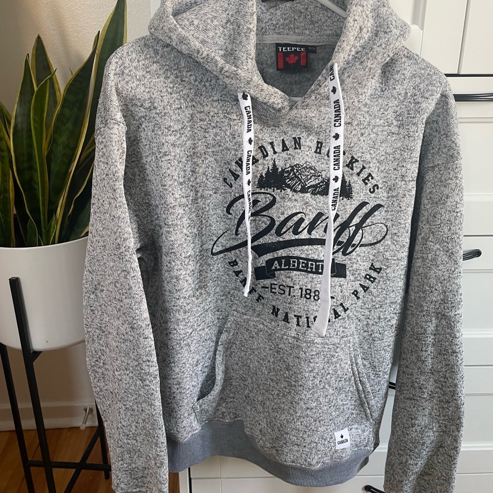 Gray Hoodie with Graphic Print